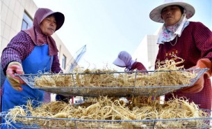 西洋參稱(chēng)重分選機(jī)  西洋參重量分選機(jī) 西洋參自動(dòng)檢重分揀機(jī)