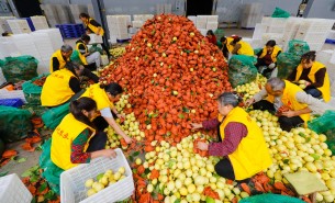 自動化分揀稱重設備：助力生鮮、凍貨及食品加工行業(yè)突破瓶頸