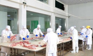 探索自動(dòng)檢重秤在羊肉及多種肉類(lèi)重量分選中的創(chuàng)新應(yīng)用