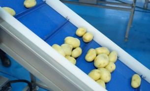 了解土豆自動分選機(jī)按重量分級及自動輸送至包裝工位詳情